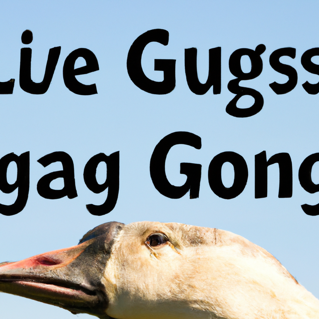 how long to geese live