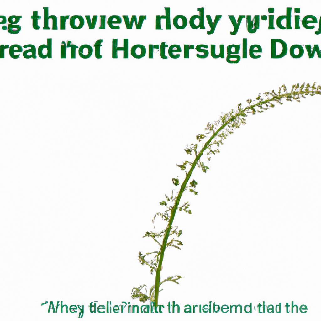 how long does it take hydroseed to grow